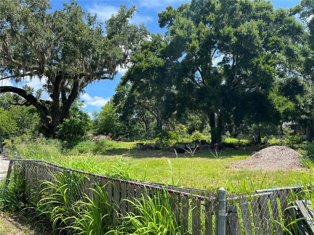 411 Alibrandi Road Leesburg, FL 34748 - Photo 28 of 44 a view of a backyard with plants