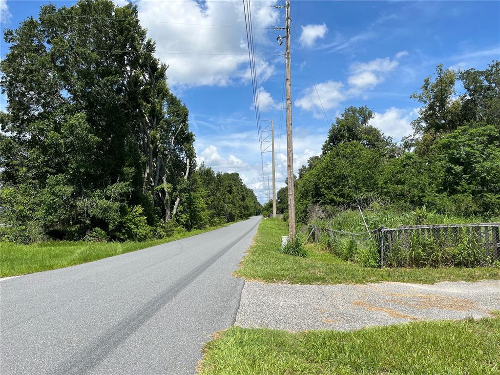 411 Alibrandi Road Leesburg, FL 34748 - Photo 3 of 44 a view of a garden