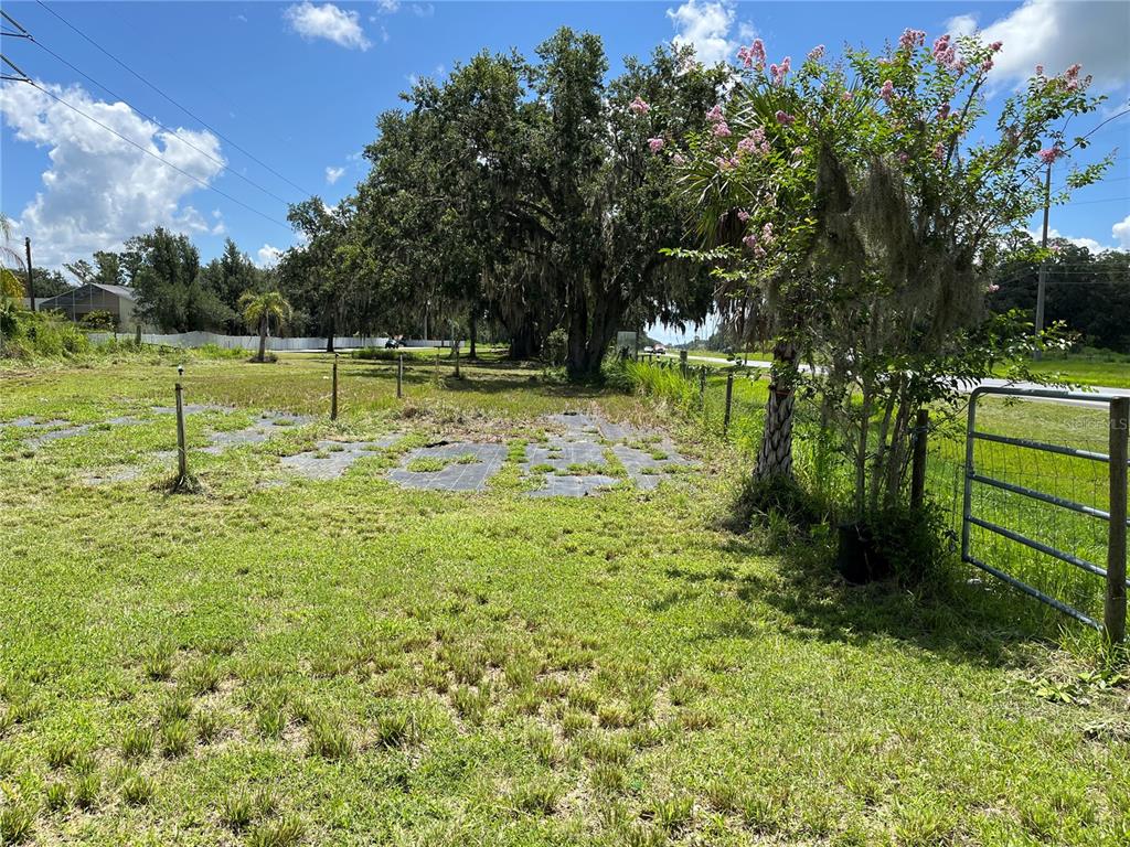411 Alibrandi Road Leesburg, FL 34748 - Photo 34 of 44 a view of a park with large trees