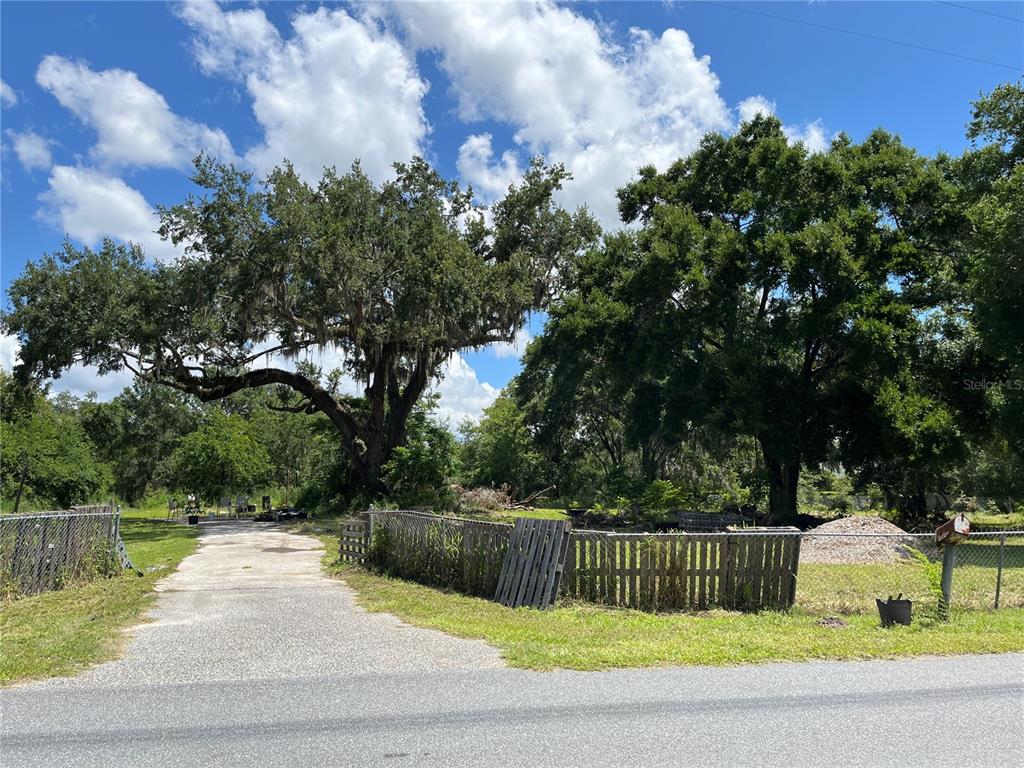 411 Alibrandi Road Leesburg, FL 34748 - Photo 36 of 44 a view of a yard