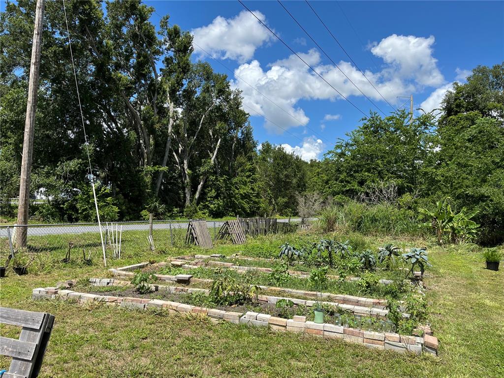 411 Alibrandi Road Leesburg, FL 34748 - Photo 37 of 44 a view of a park