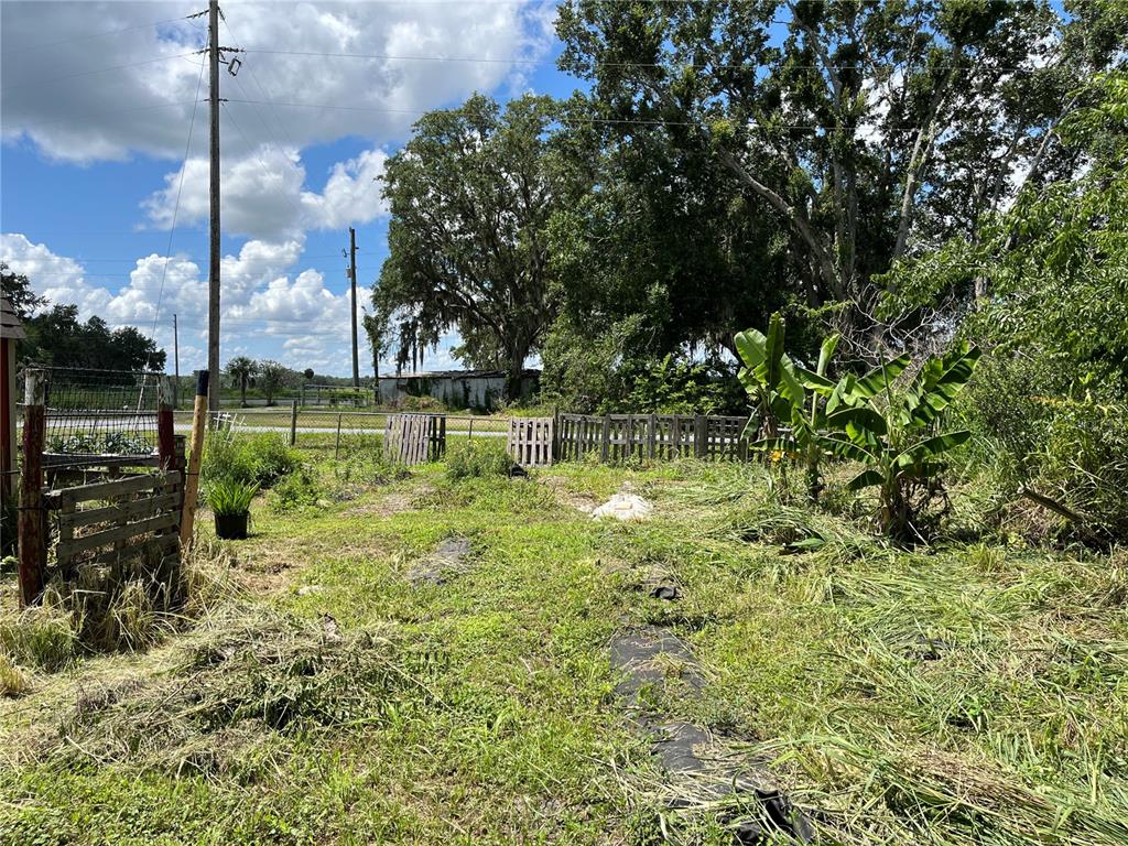 411 Alibrandi Road Leesburg, FL 34748 - Photo 38 of 44 a view of a garden with a tree