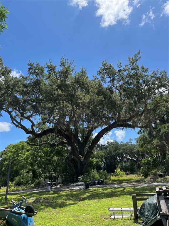 411 Alibrandi Road Leesburg, FL 34748 - Photo 39 of 44 a view of a swimming pool with a yard