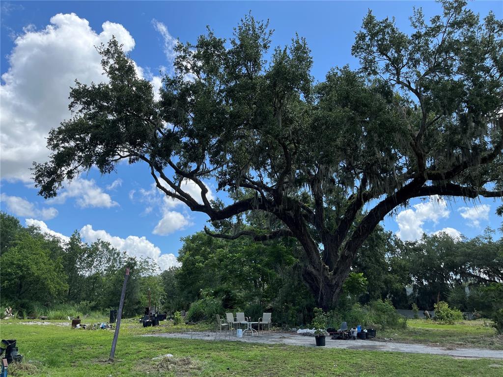 411 Alibrandi Road Leesburg, FL 34748 - Photo 40 of 44 a view of a city view