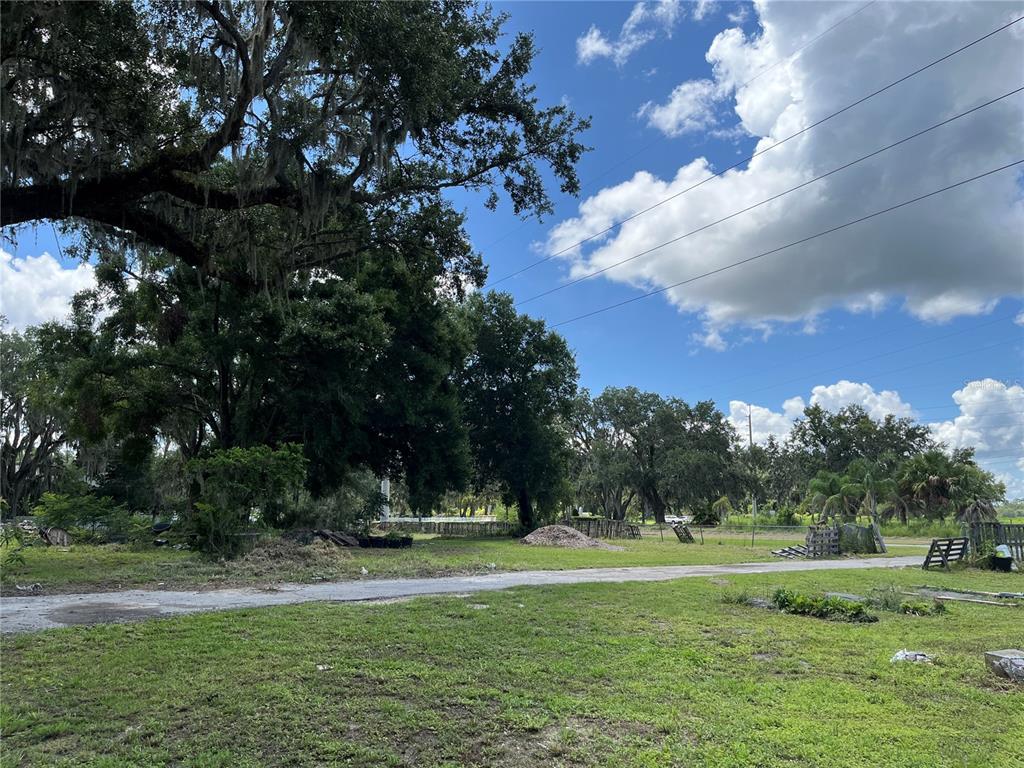 411 Alibrandi Road Leesburg, FL 34748 - Photo 41 of 44 a view of a park