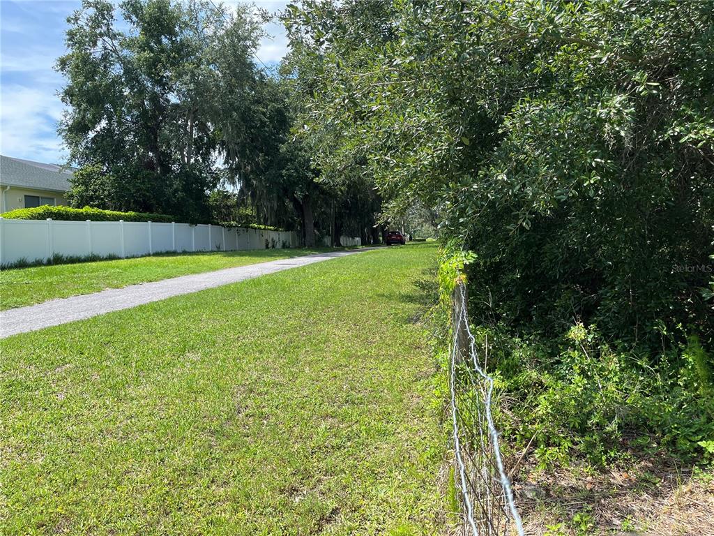 411 Alibrandi Road Leesburg, FL 34748 - Photo 8 of 44 a view of a field with trees in the background
