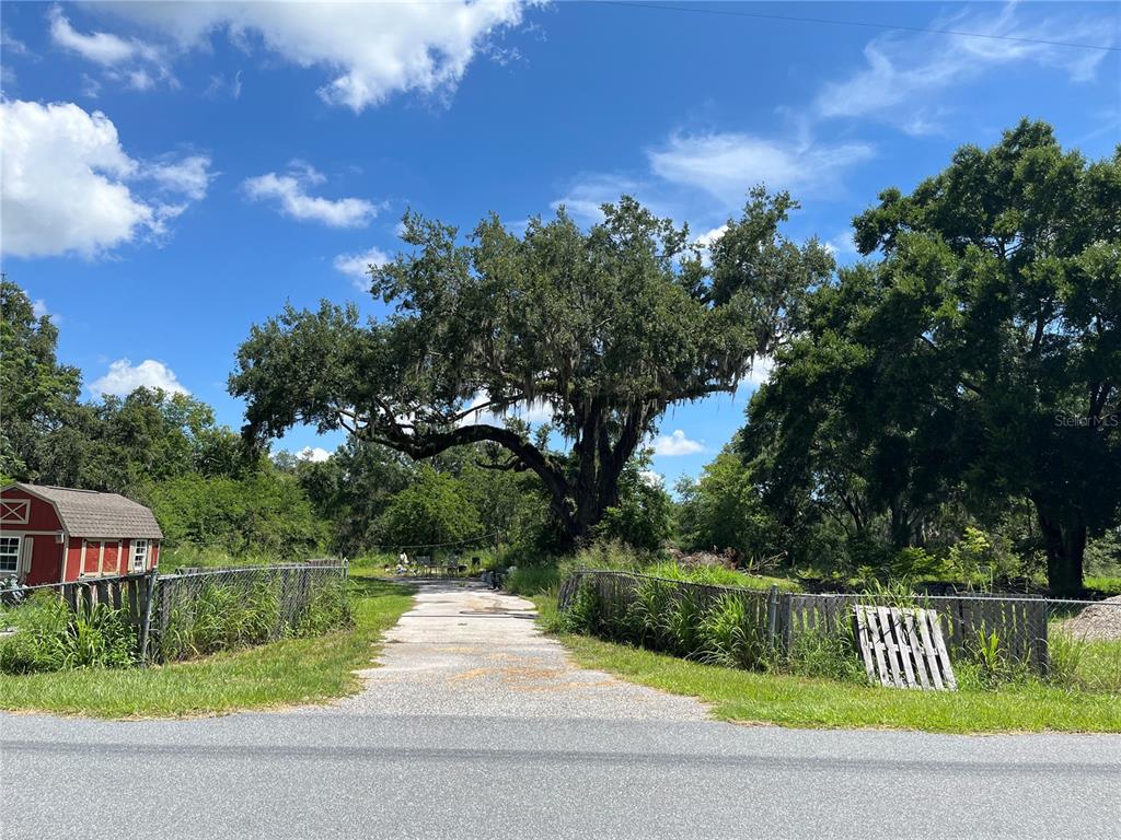 411 Alibrandi Road Leesburg, FL 34748 - Photo 9 of 44 a view of a yard and entertaining space