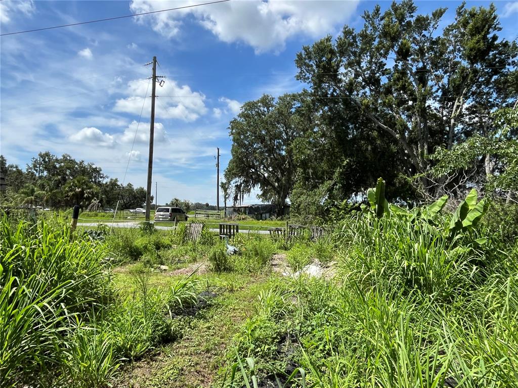 411 Alibrandi Road Leesburg, FL 34748 - Photo 10 of 44 a view of a garden