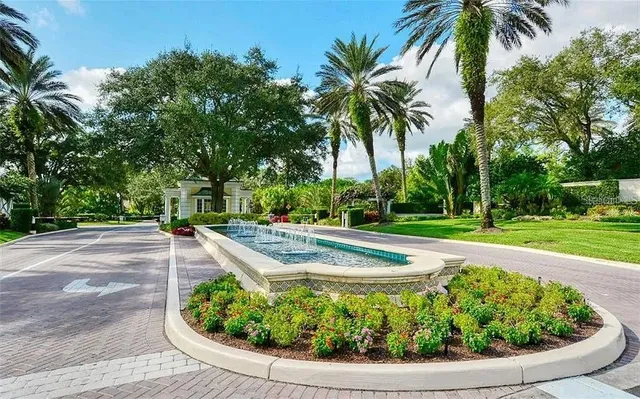 a view of a backyard with palm trees