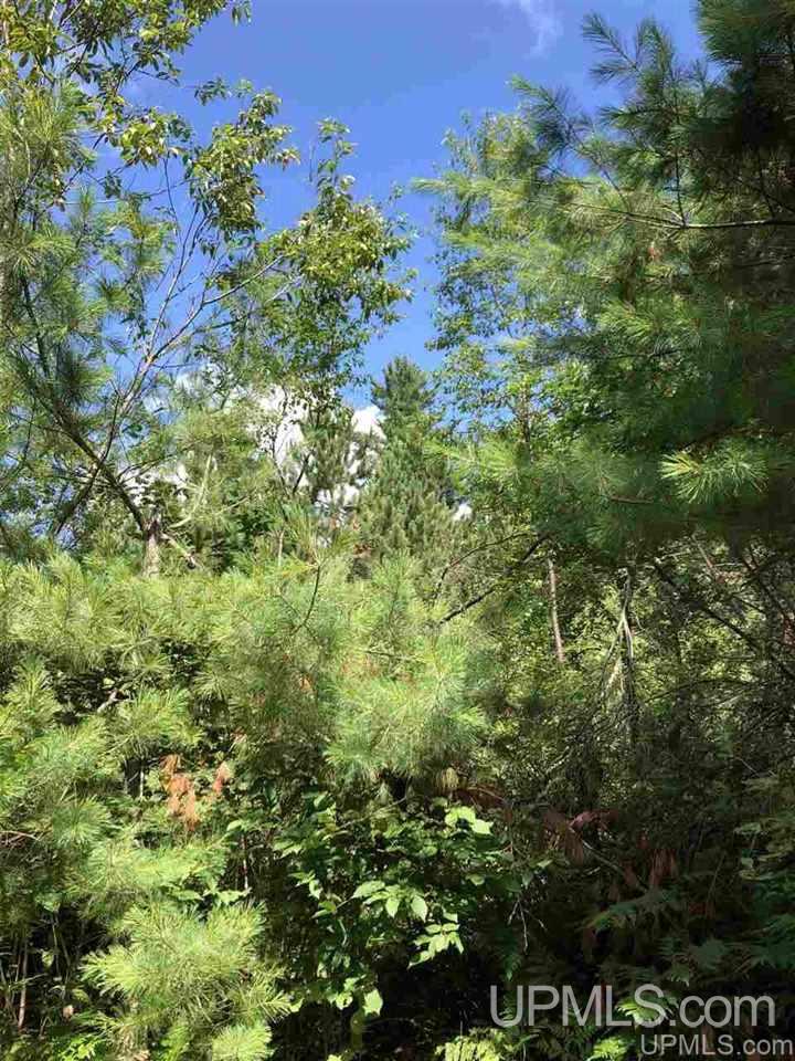 Tbd West Tower Road Ishpeming, MI 49849 - Photo 12 of 44
