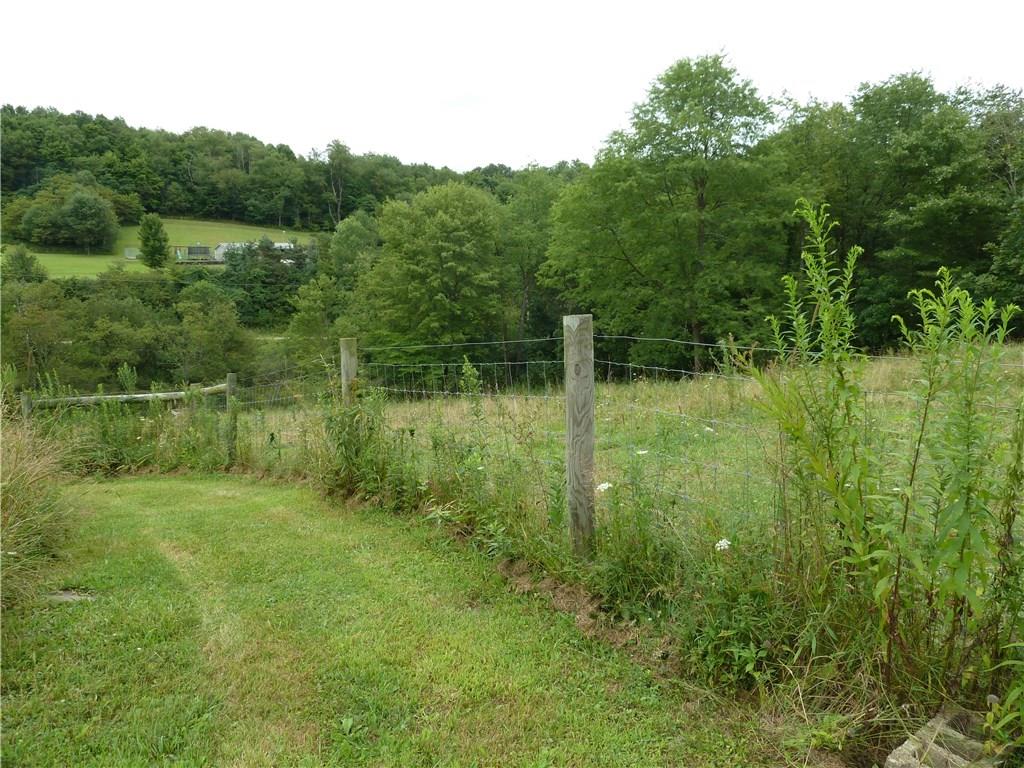 1563 Hanging Rock Road Creekside, PA 15732 - Photo 21 of 22 Fenced pasture