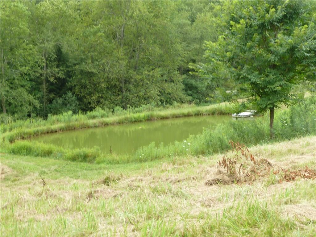 1563 Hanging Rock Road Creekside, PA 15732 - Photo 22 of 22 Pond