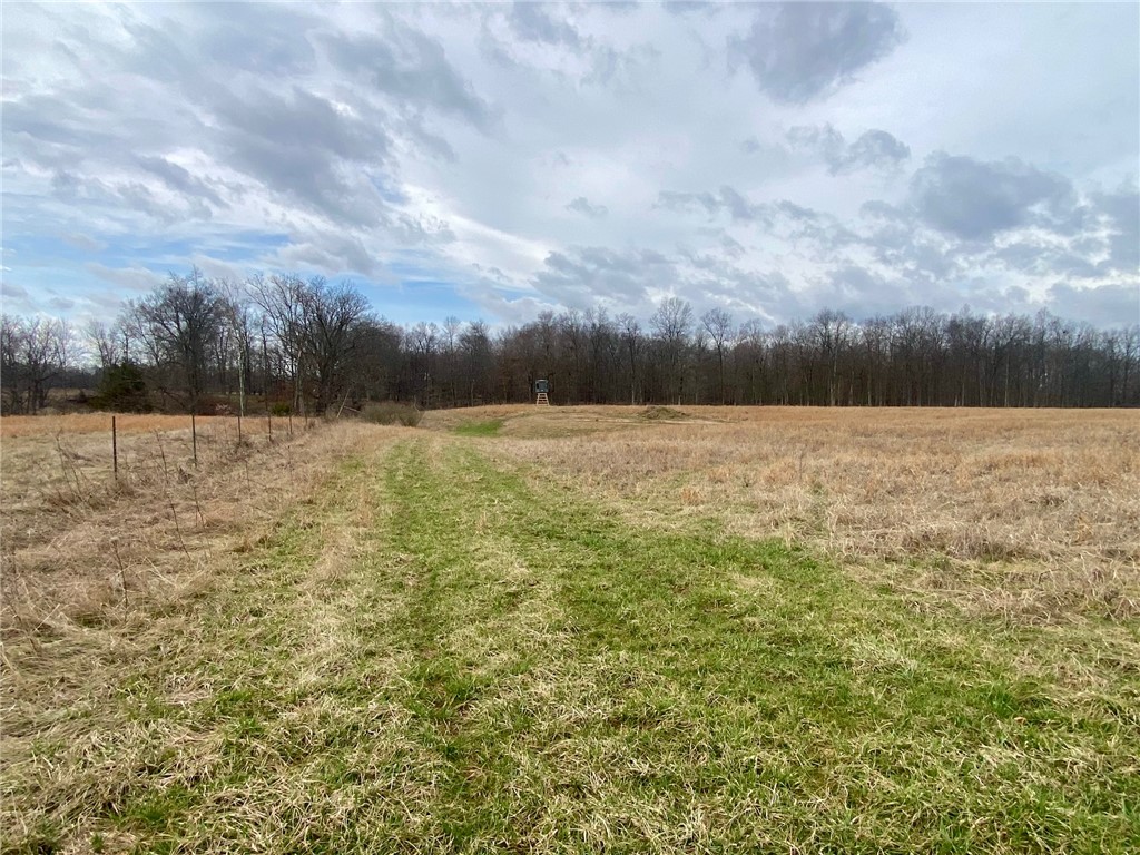 77 Wildcat Road Winchester, OH 45697 - Photo 9 of 19 Vast open field with a wooded backdrop offers tranquil, expansive views.