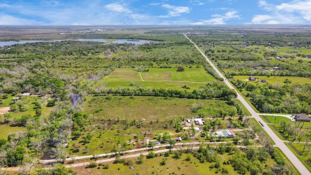 a view of a garden with plants and large trees