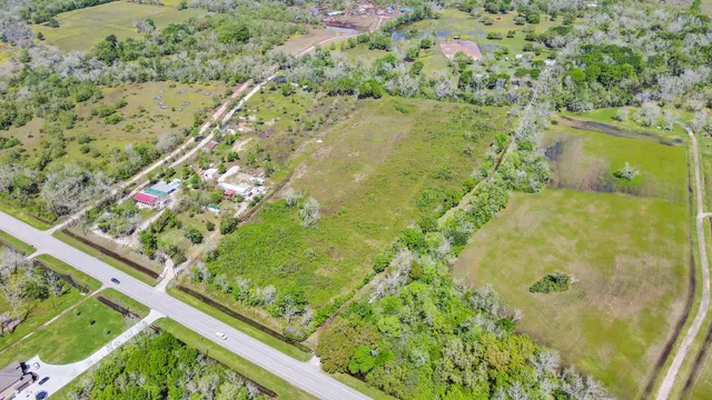 a view of a yard with plants