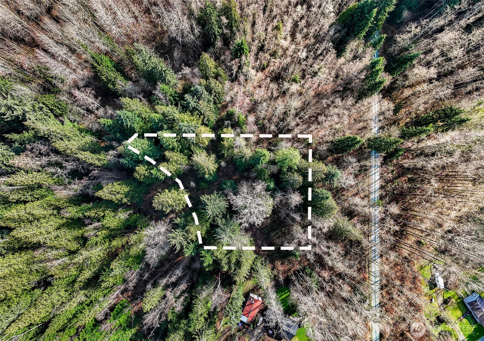 6657 North Fruitdale Road Sedro-Woolley, WA 98284 - Photo 16 of 19 a view of outdoor space and a yard