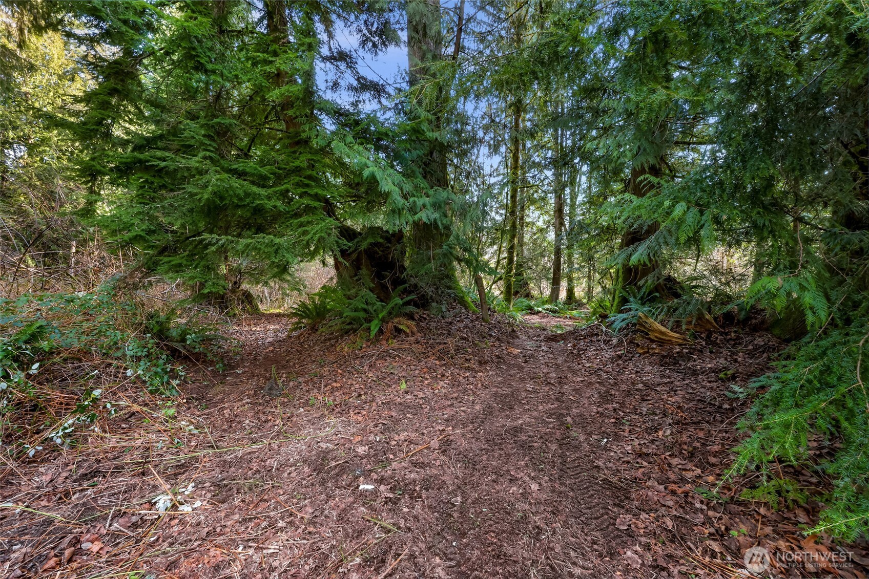 6657 North Fruitdale Road Sedro-Woolley, WA 98284 - Photo 4 of 19 a view of a yard