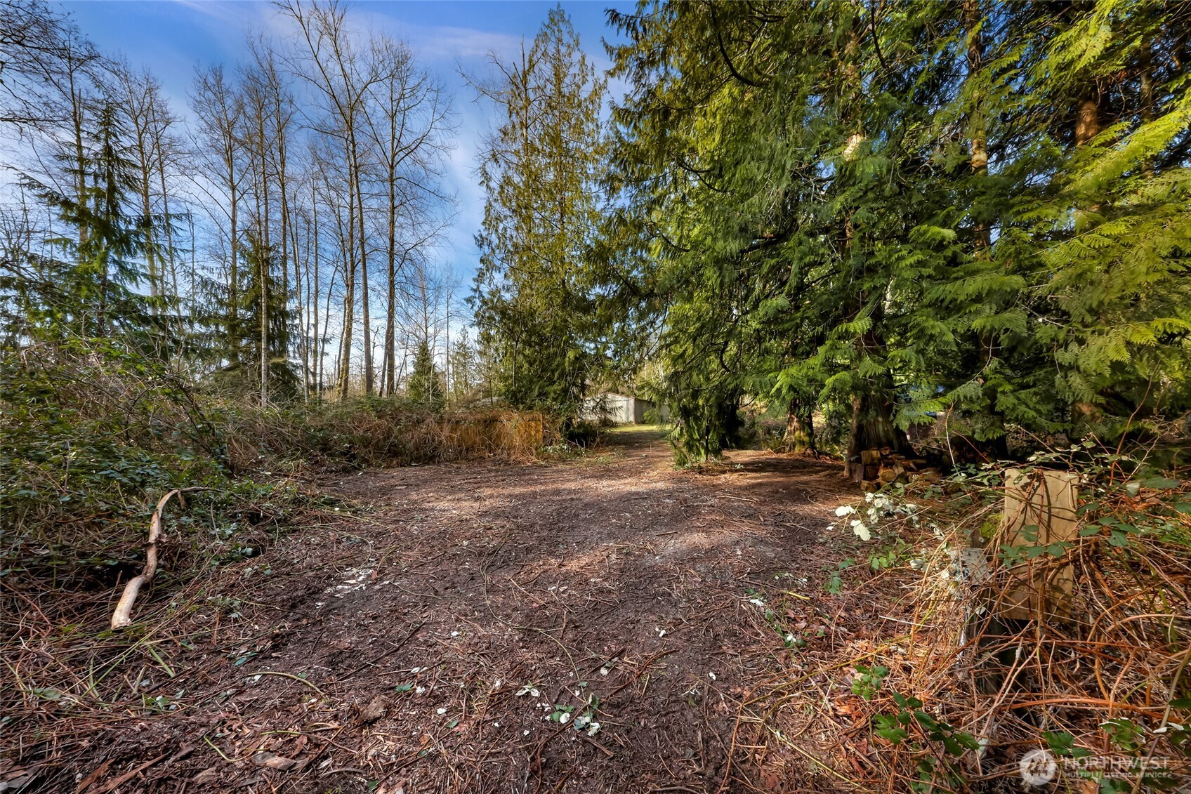 6657 North Fruitdale Road Sedro-Woolley, WA 98284 - Photo 8 of 19 a view of outdoor space and yard