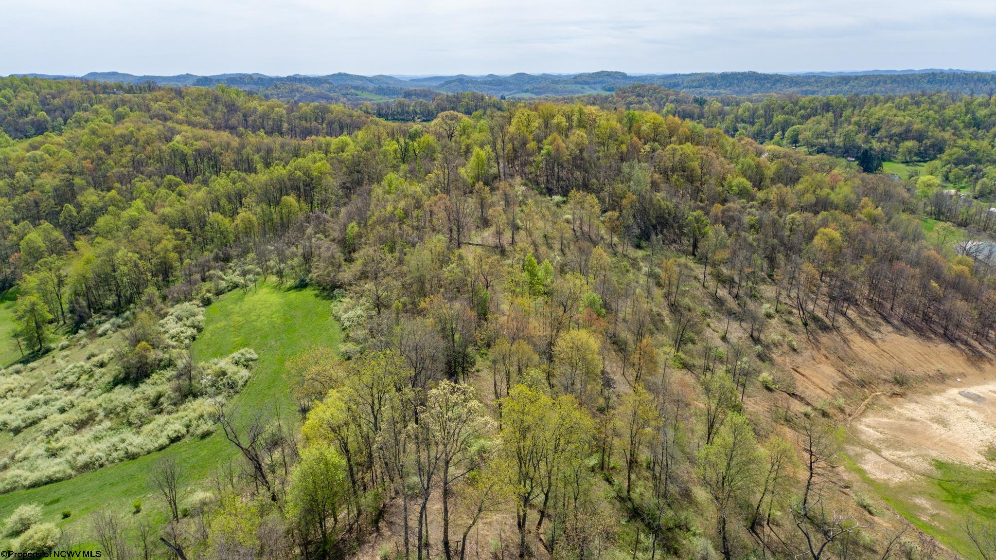 Tbd Benedum Run Road Bridgeport, WV 26330 - Photo 37 of 42 Gallery Image 37