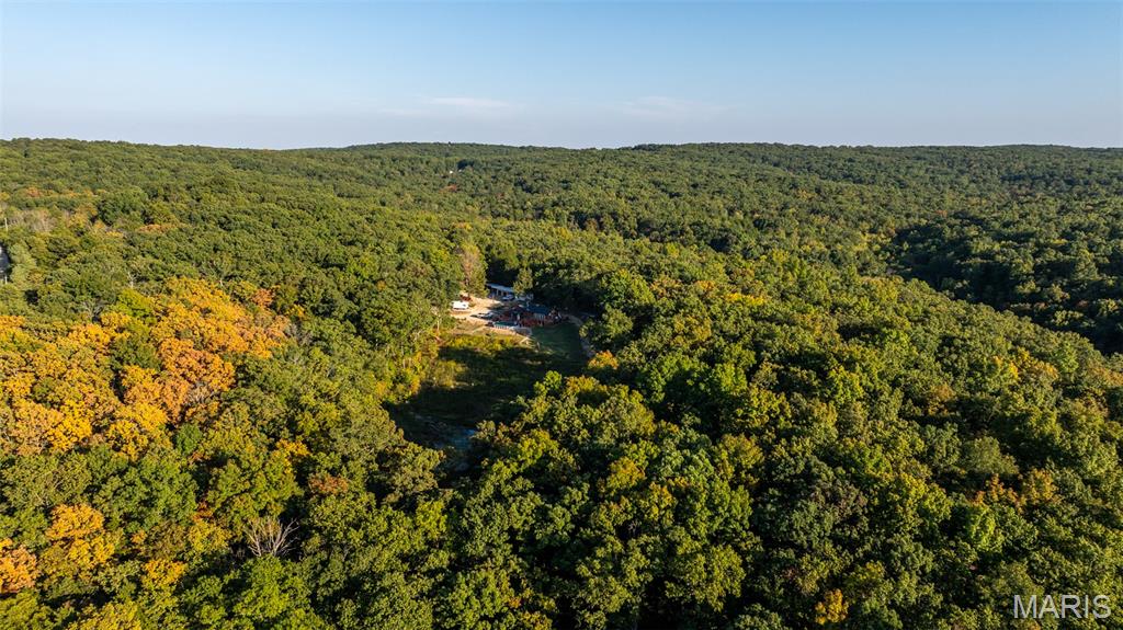 5400 Nolting Road French Village, MO 63036 - Photo 13 of 92