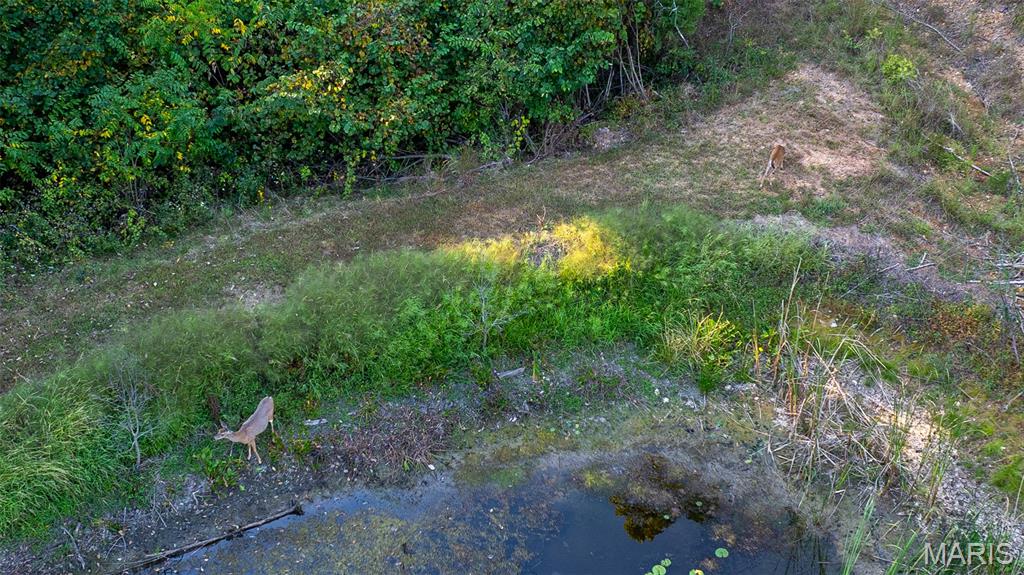 5400 Nolting Road French Village, MO 63036 - Photo 14 of 92