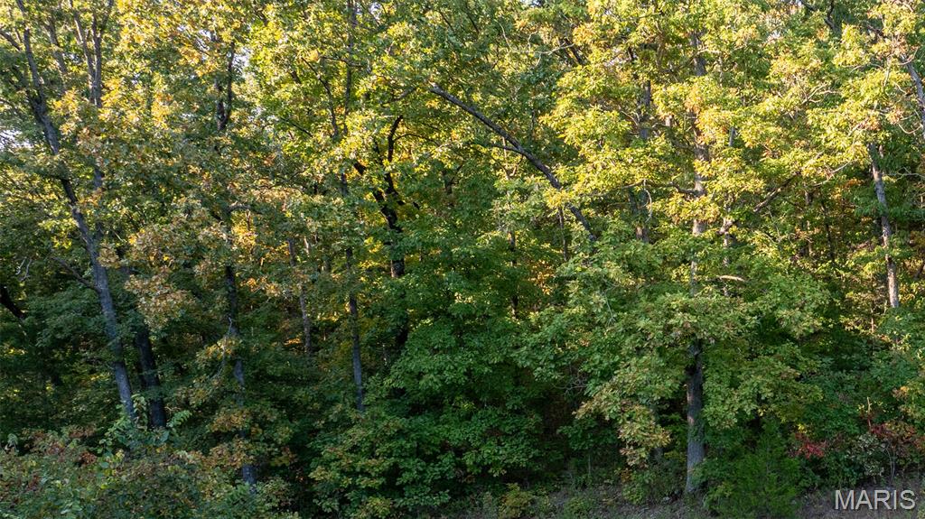 5400 Nolting Road French Village, MO 63036 - Photo 15 of 92