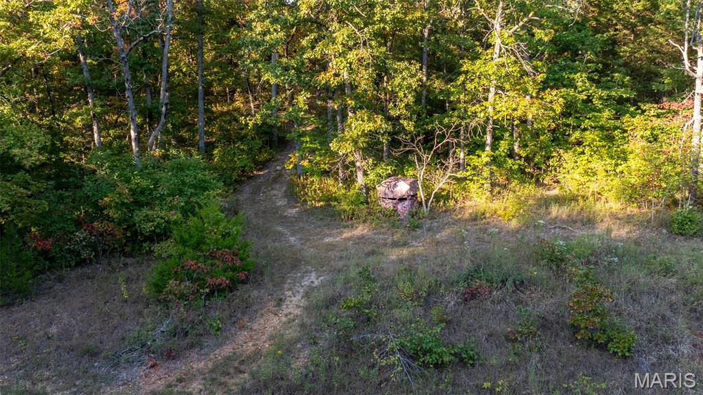 5400 Nolting Road French Village, MO 63036 - Photo 16 of 92