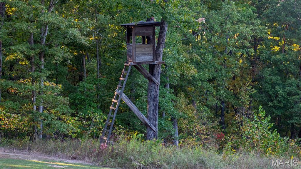 5400 Nolting Road French Village, MO 63036 - Photo 33 of 92