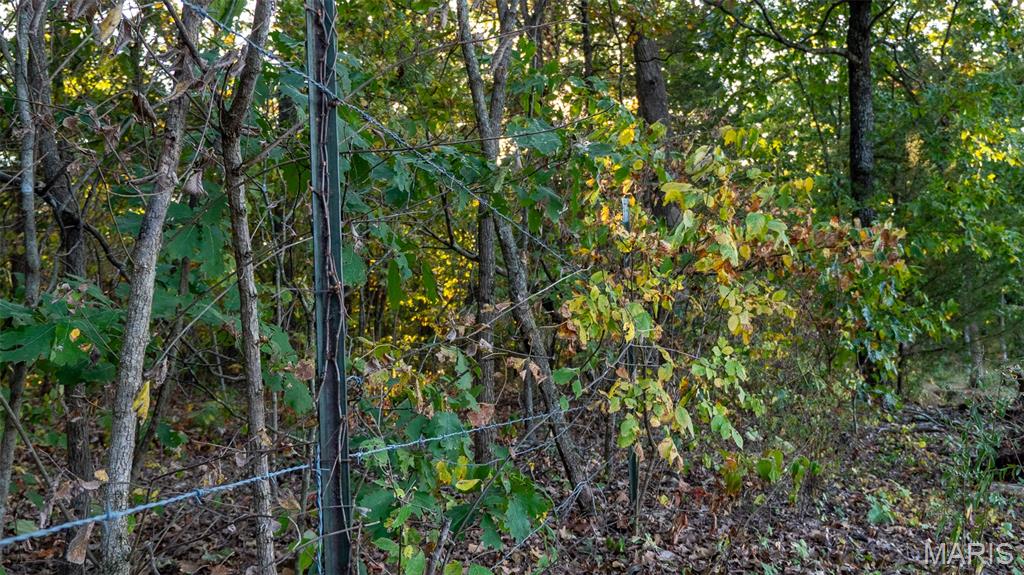 5400 Nolting Road French Village, MO 63036 - Photo 34 of 92