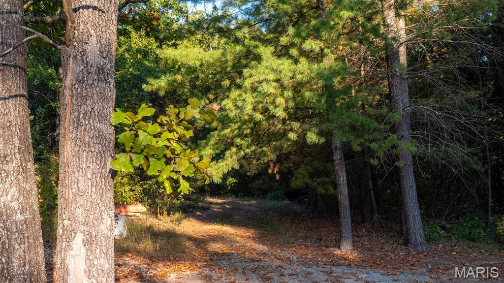 5400 Nolting Road French Village, MO 63036 - Photo 39 of 92