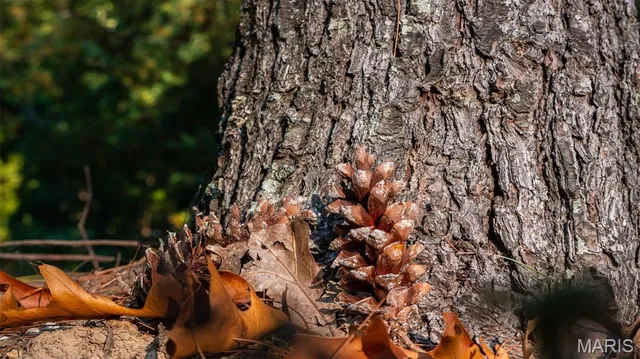 $415,000 | 5400 Nolting Road, French Village, MO 63036