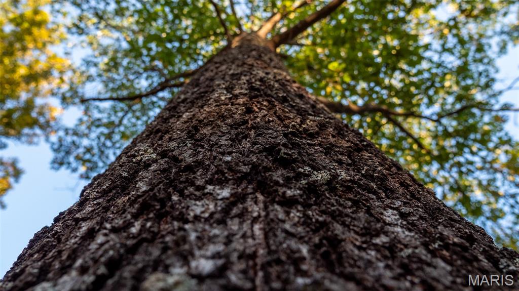 5400 Nolting Road French Village, MO 63036 - Photo 41 of 92