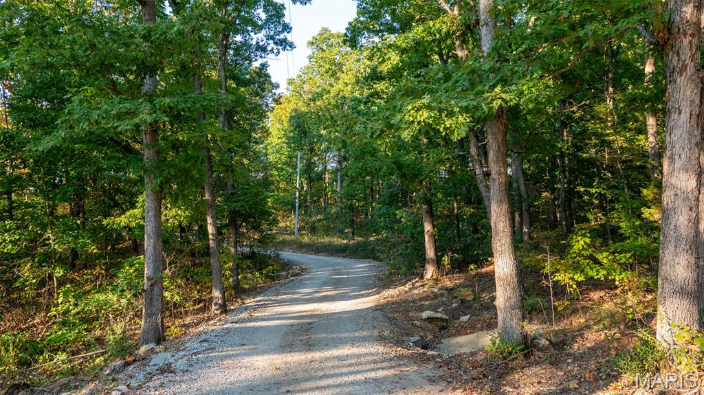 5400 Nolting Road French Village, MO 63036 - Photo 42 of 92