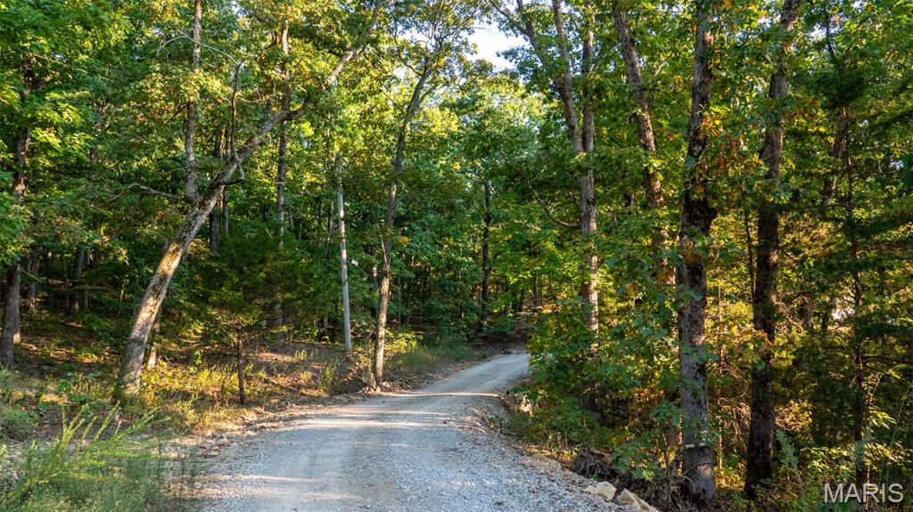 5400 Nolting Road French Village, MO 63036 - Photo 45 of 92