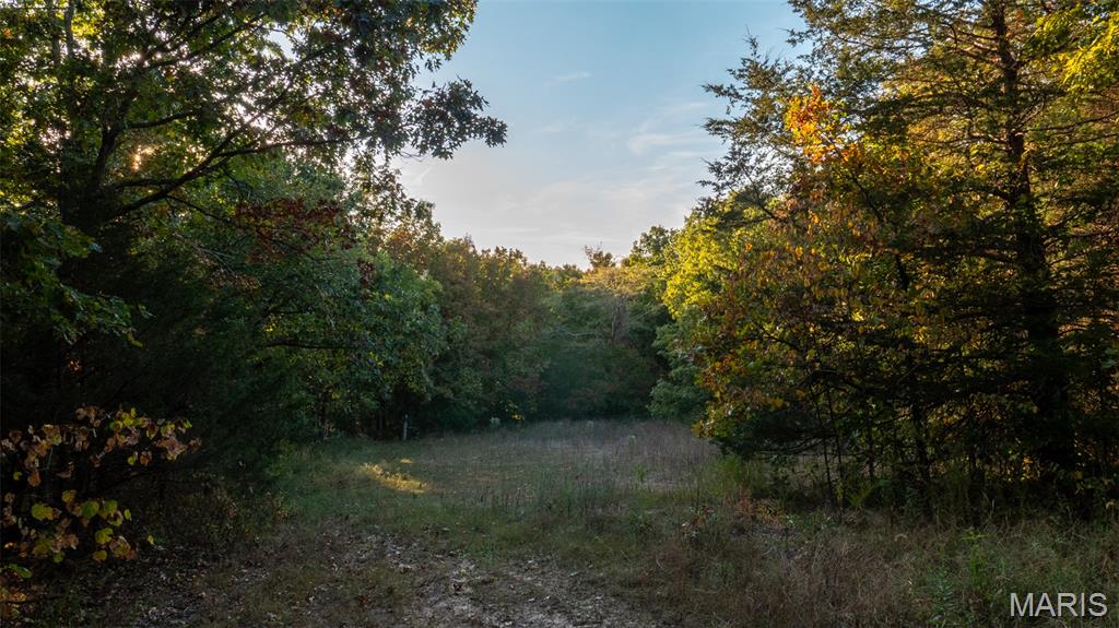 5400 Nolting Road French Village, MO 63036 - Photo 47 of 92