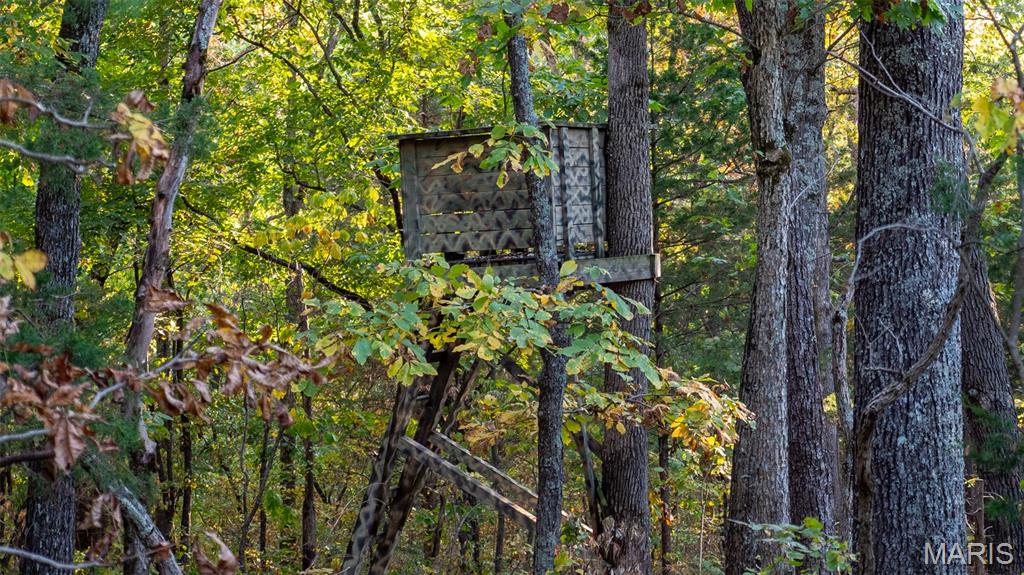 5400 Nolting Road French Village, MO 63036 - Photo 48 of 92