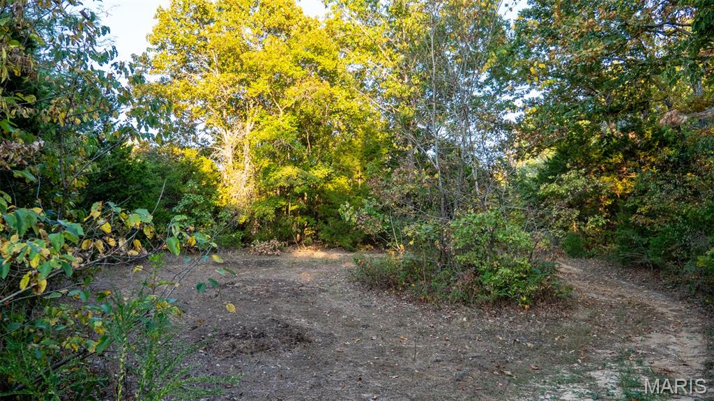 5400 Nolting Road French Village, MO 63036 - Photo 49 of 92