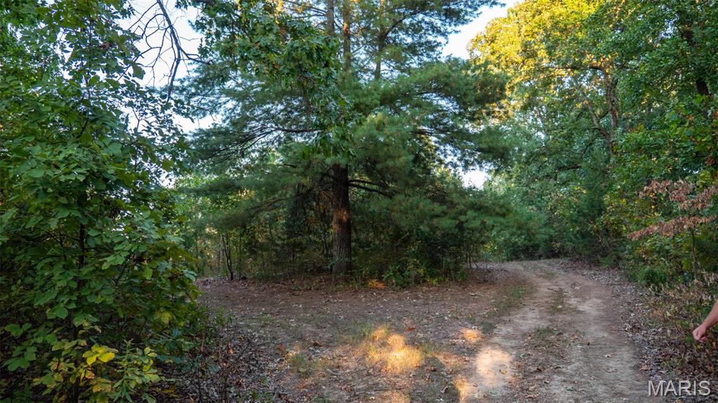 5400 Nolting Road French Village, MO 63036 - Photo 52 of 92