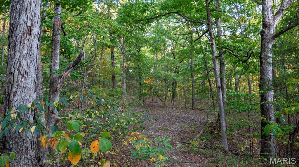 5400 Nolting Road French Village, MO 63036 - Photo 56 of 92