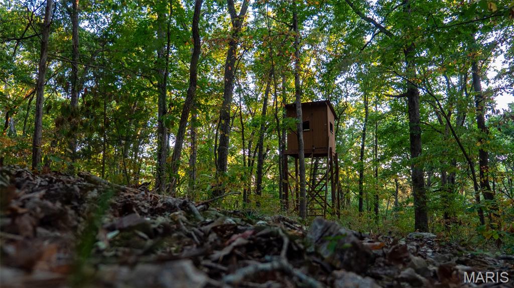 5400 Nolting Road French Village, MO 63036 - Photo 57 of 92