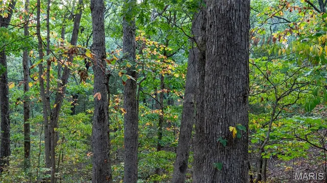 $415,000 | 5400 Nolting Road, French Village, MO 63036