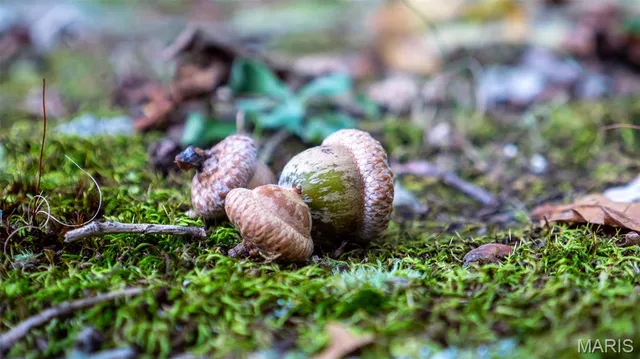 $415,000 | 5400 Nolting Road, French Village, MO 63036