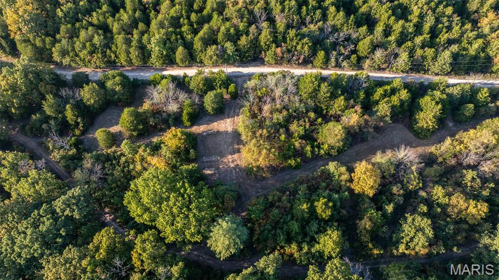 5400 Nolting Road French Village, MO 63036 - Photo 6 of 92