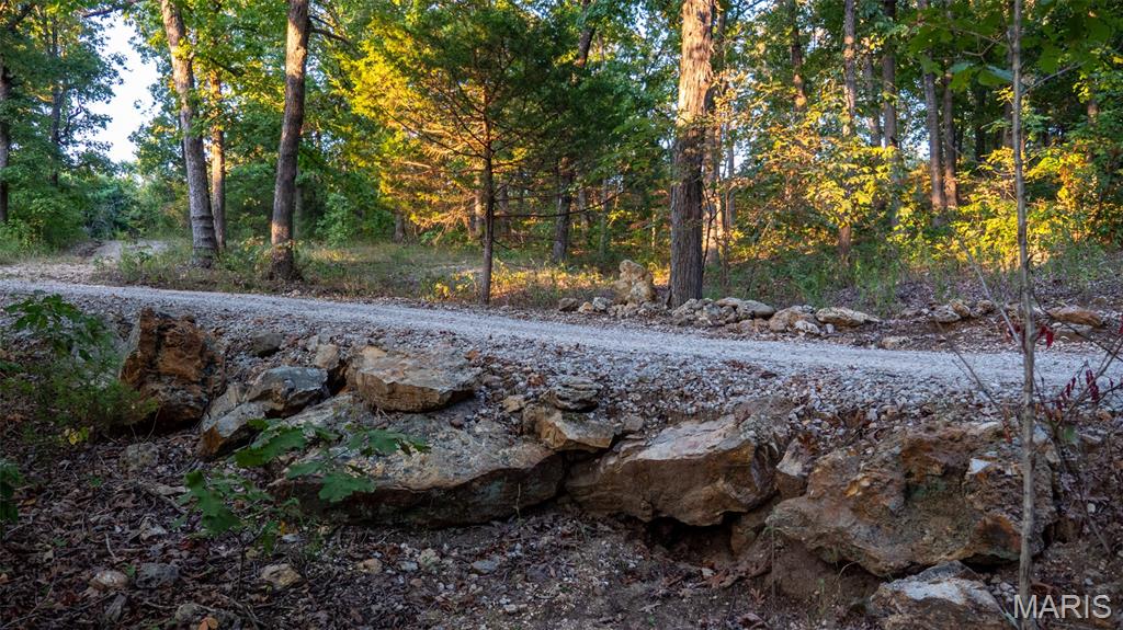 5400 Nolting Road French Village, MO 63036 - Photo 62 of 92