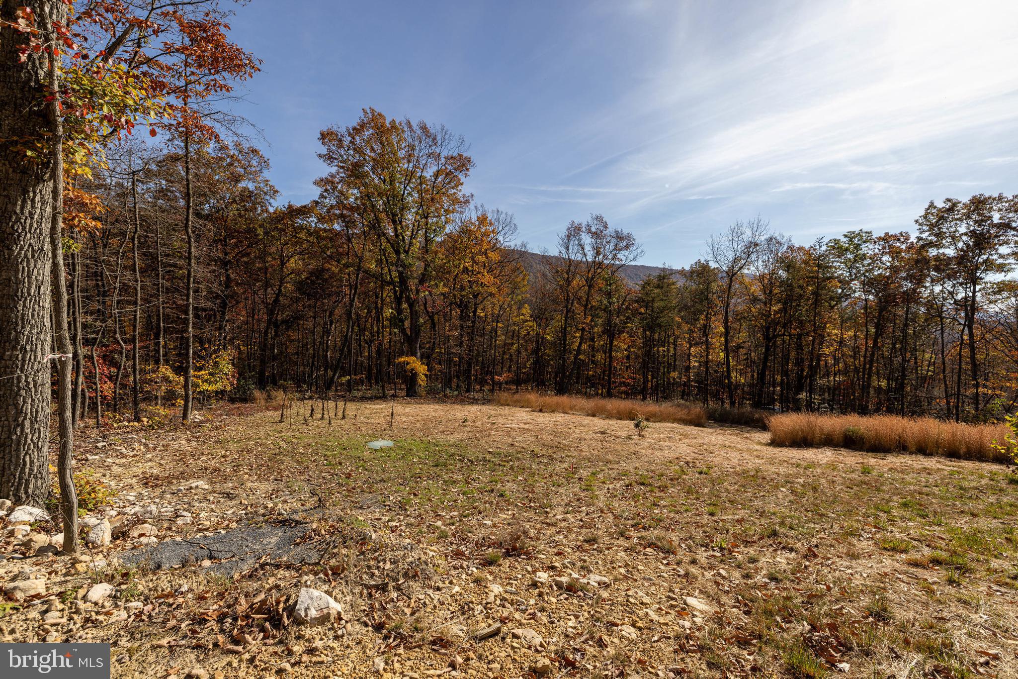 0 Moreland Gap Road Mount Jackson, VA 22842 - Photo 13 of 37