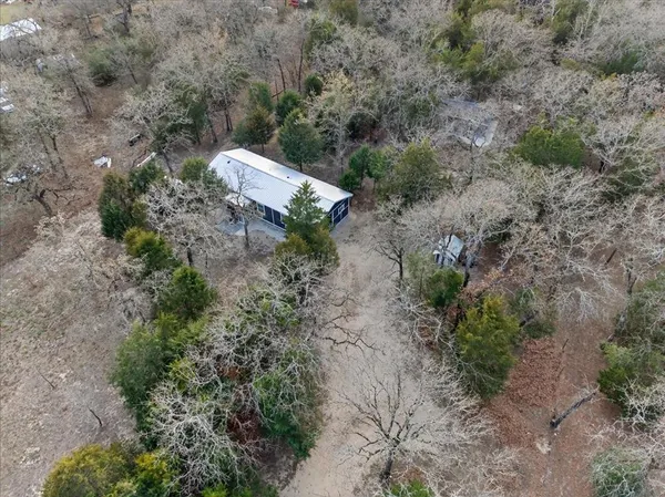 a view of a forest with a street