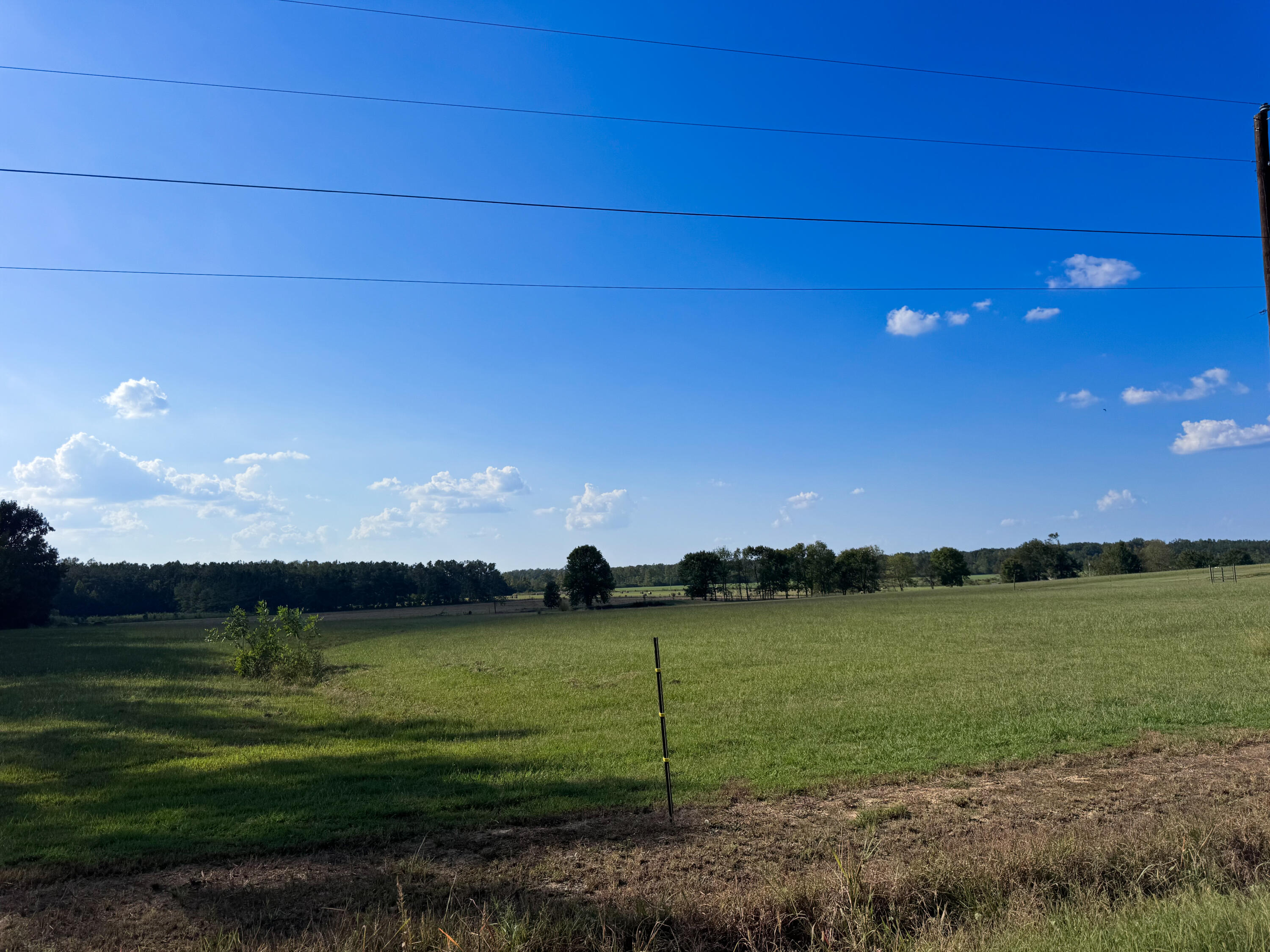 1251 Coleman Road Thaxton, MS 38871 - Photo 34 of 35 Gallery Image 34