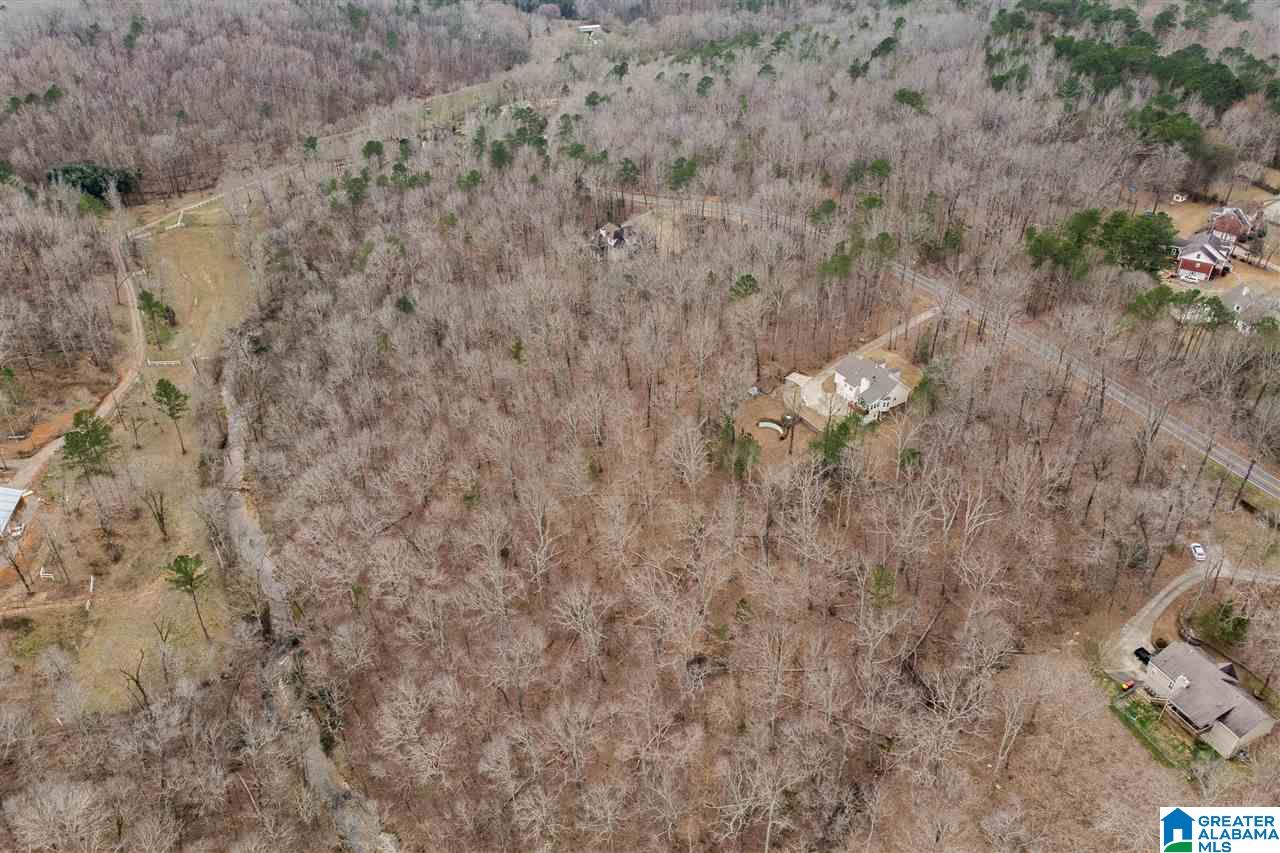 7221 Faucett Cut-Off Road Pinson, AL 35126 - Photo 46 of 47