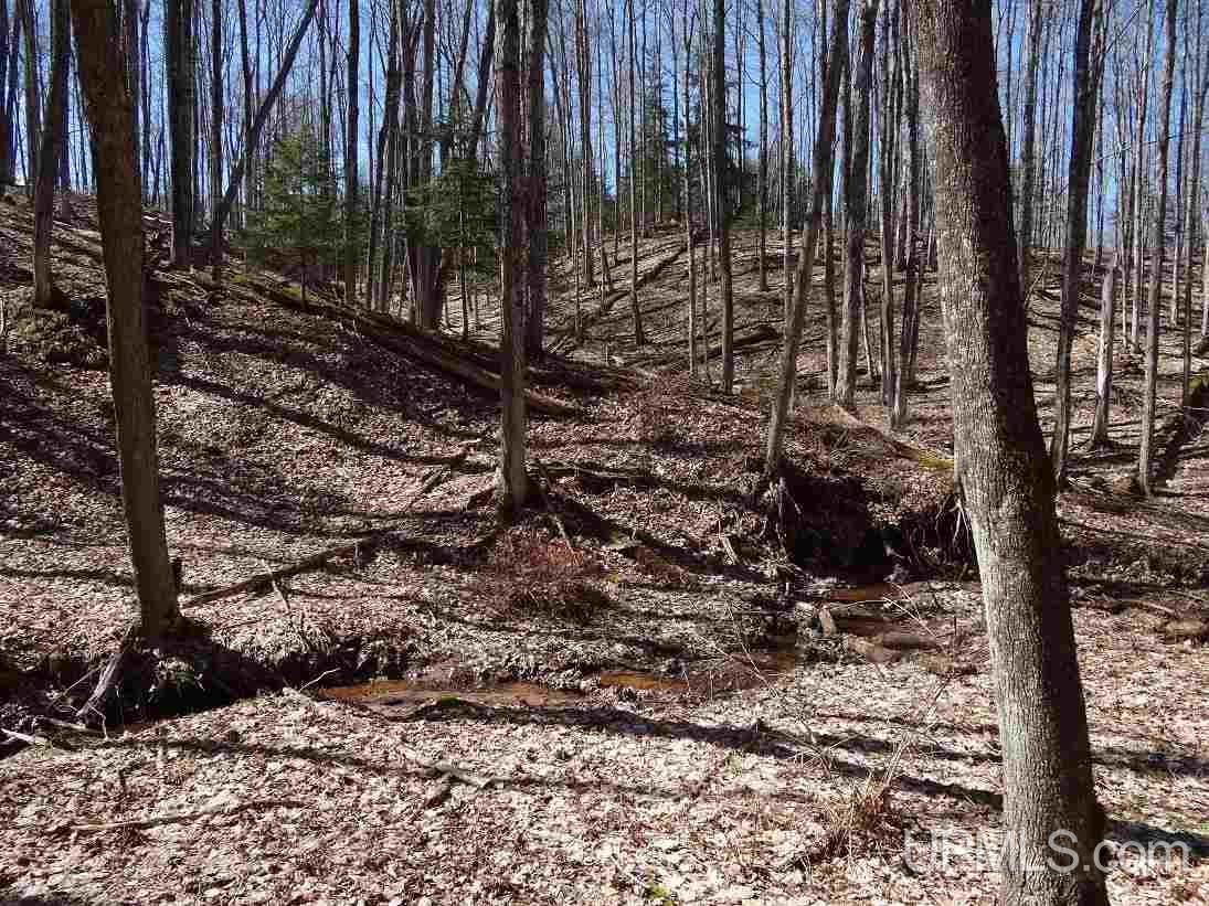 Tbd Wadaga Road Baraga, MI 49908 - Photo 12 of 17 Gallery Image 12