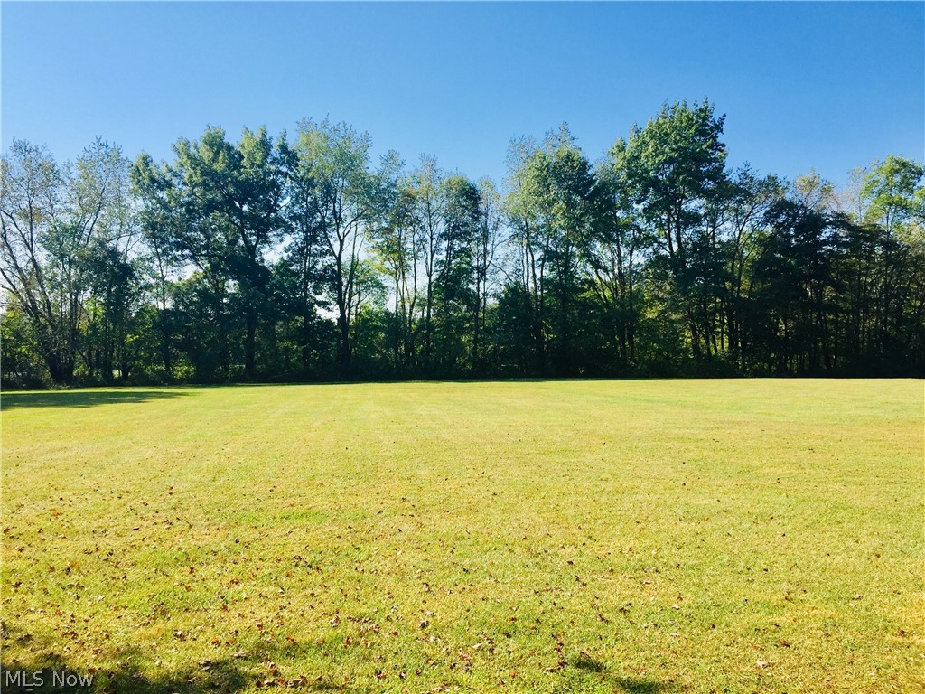 8356 South Cleveland Massillon Road Clinton, OH 44216 - Photo 12 of 30 VIEW OF THE BACKYARD